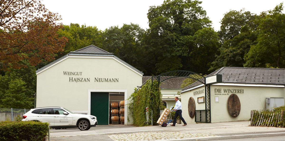 Weingut Hajszan Neumann by Fritz Wieninger Bild 2
