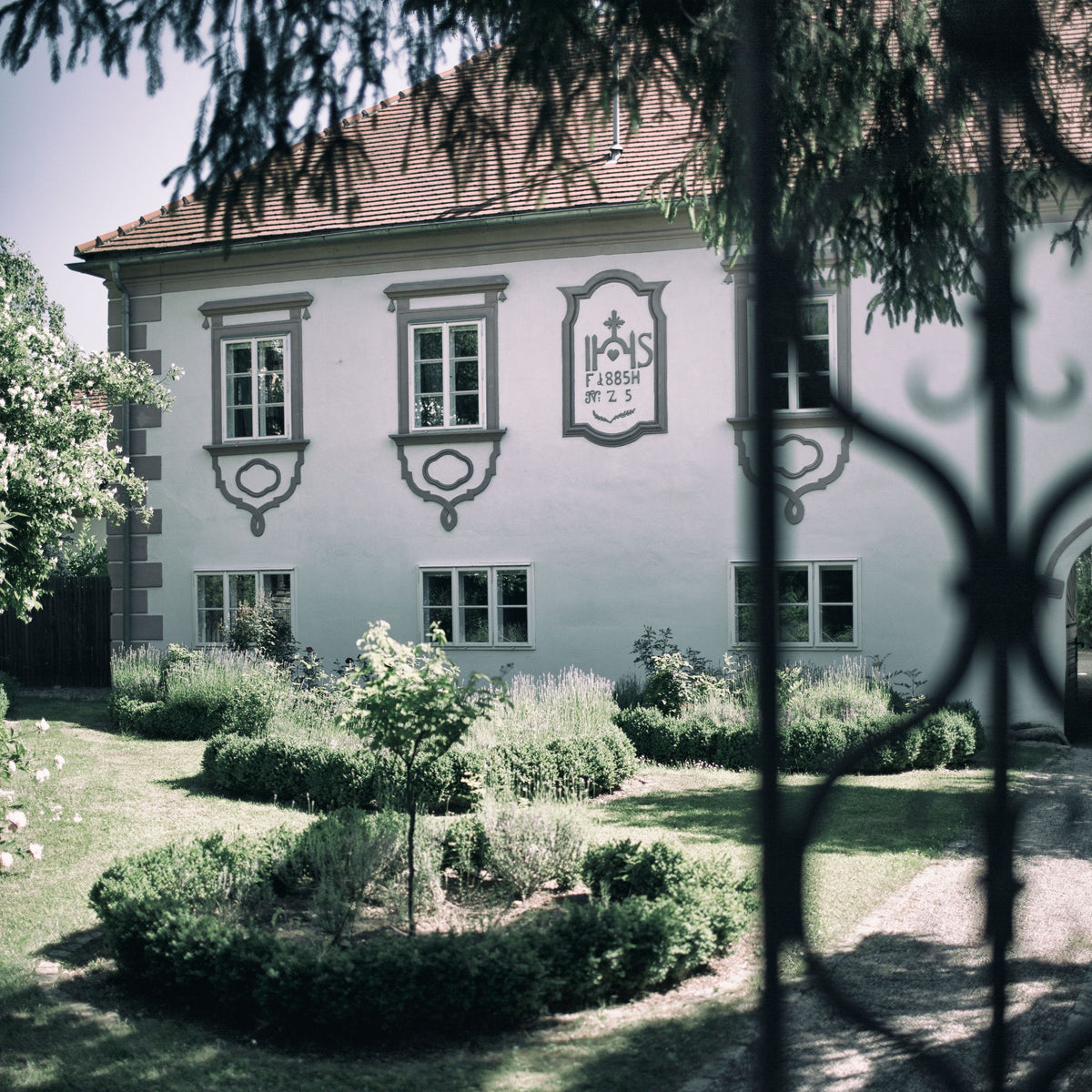 Weingut Hirsch Bild 2