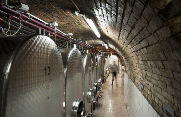 Weingut Hofbauer-Schmidt Bild 3