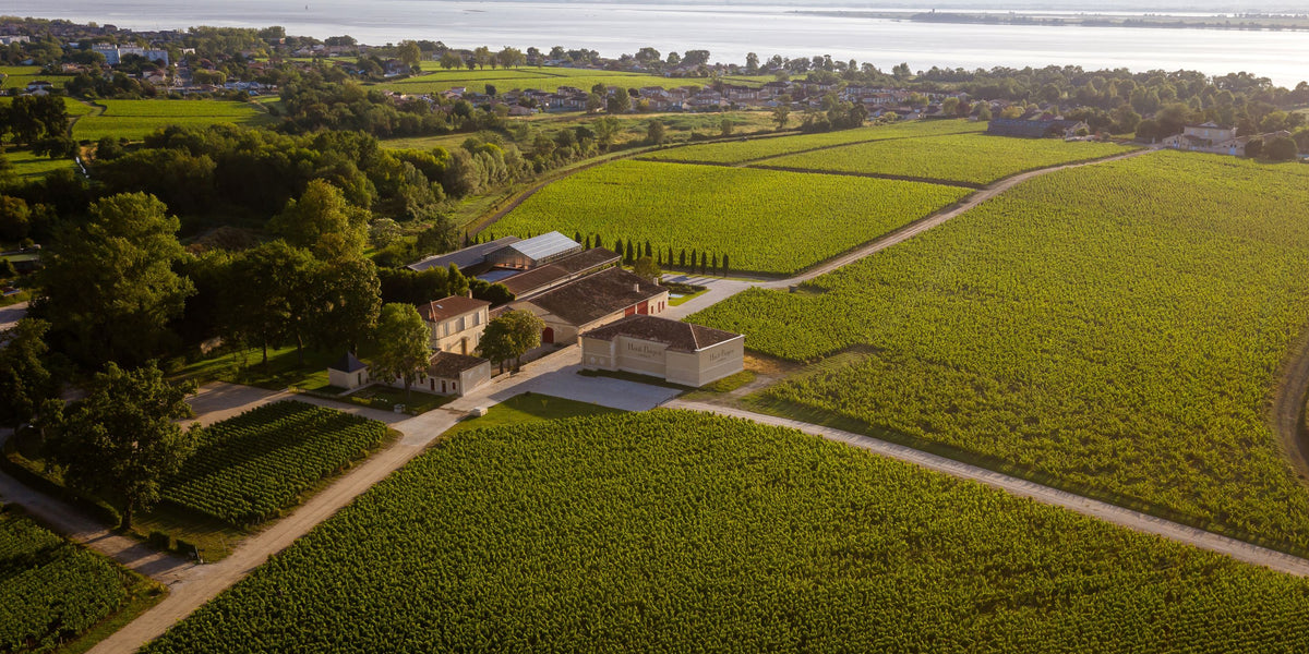 Header Château Haut-Bages-Libéral