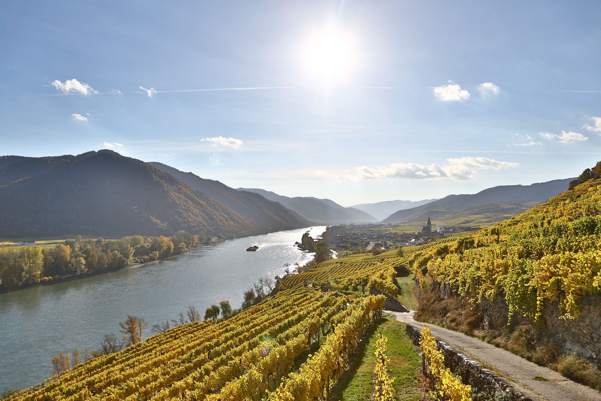 Header Weingut Jamek