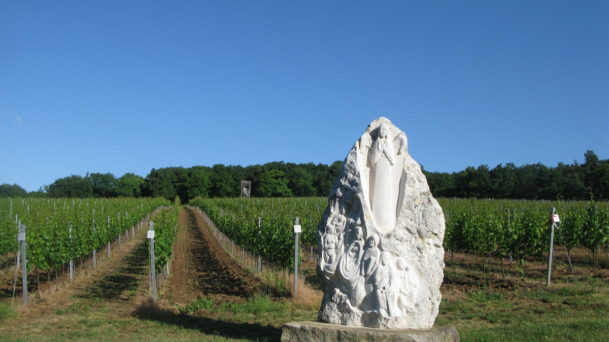 Header Weingut Kollwentz