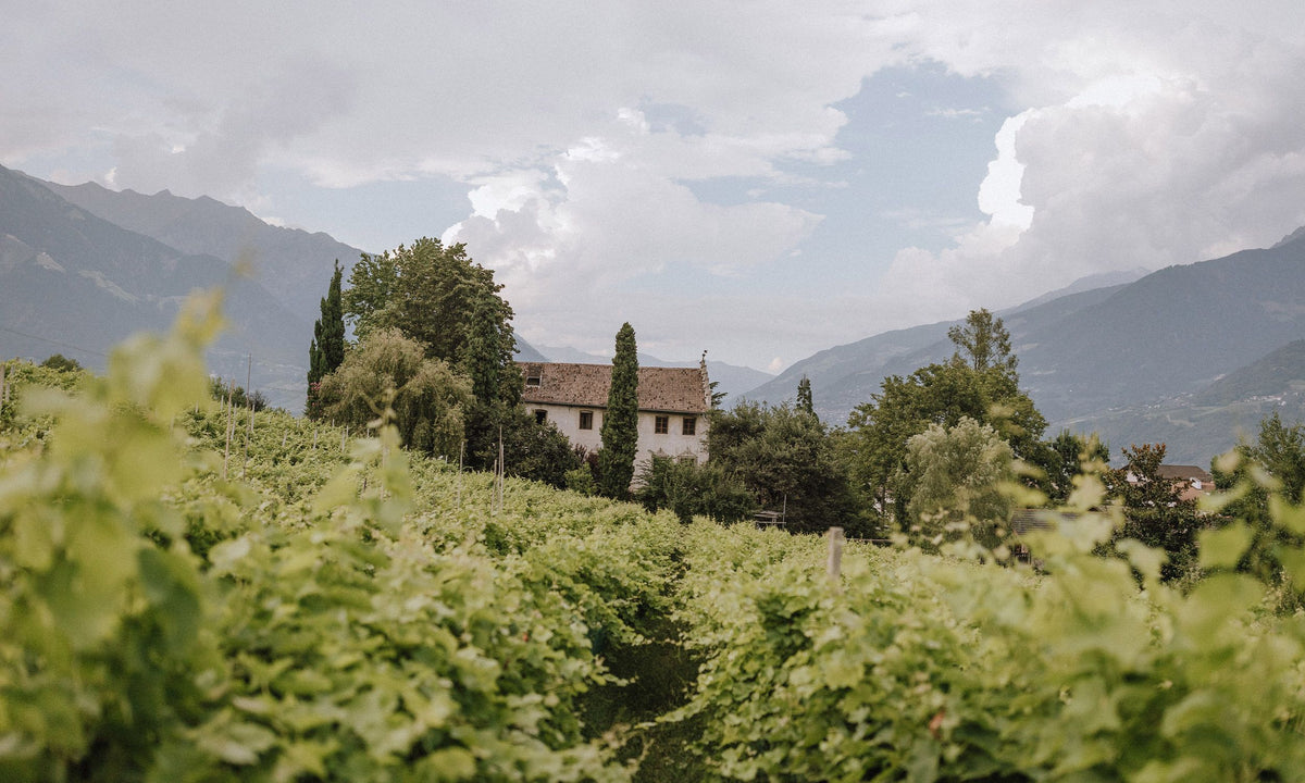 Header Kränzelhof
