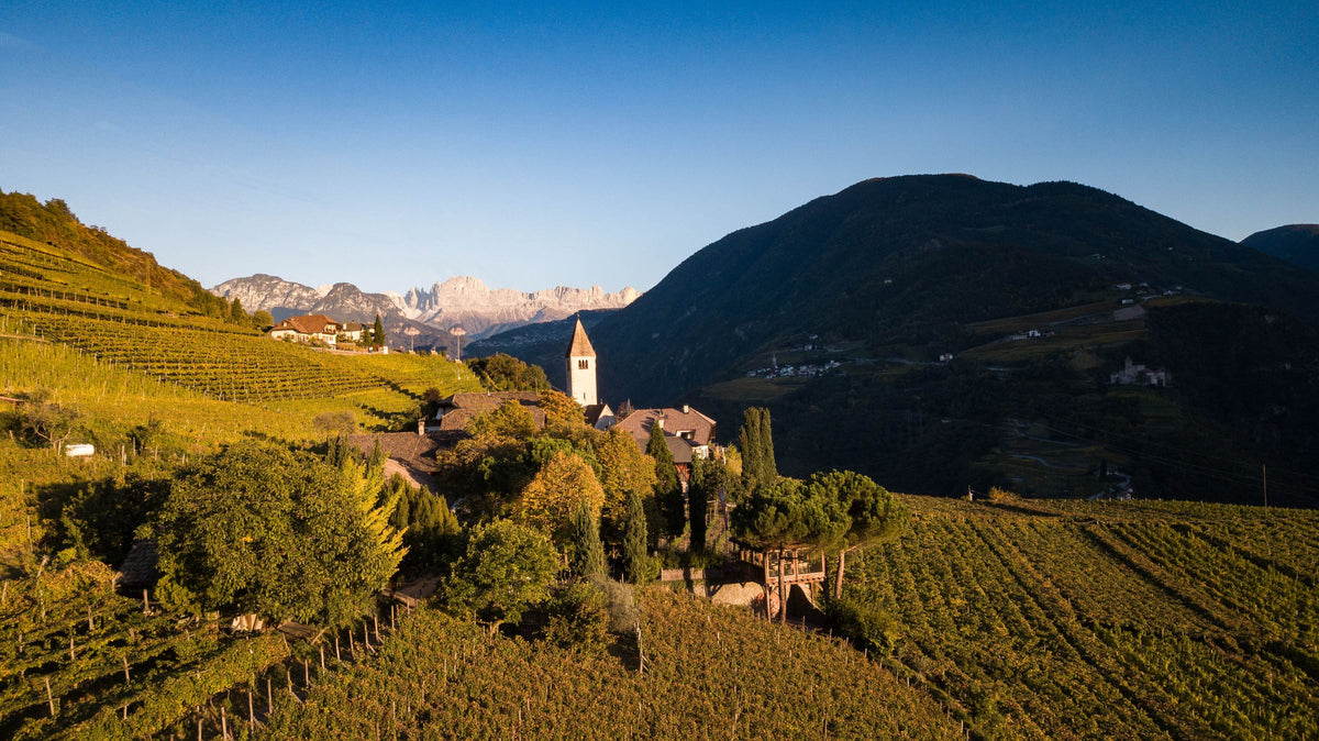 Header Weingut Loacker