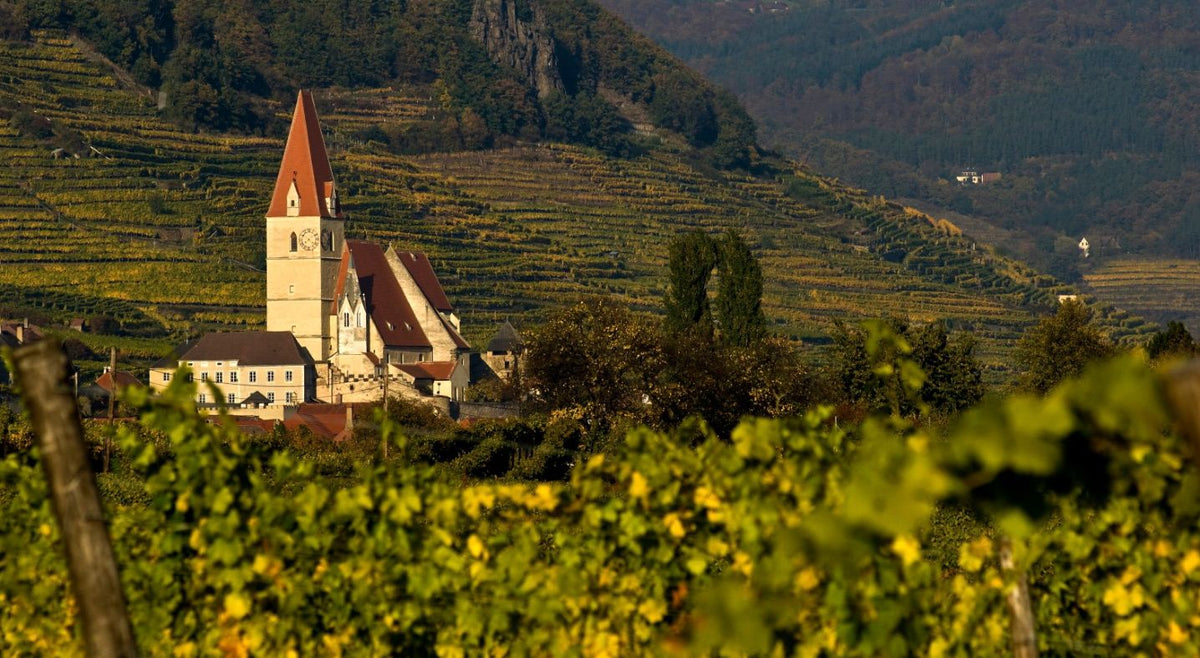 Header Weingut Lehensteiner