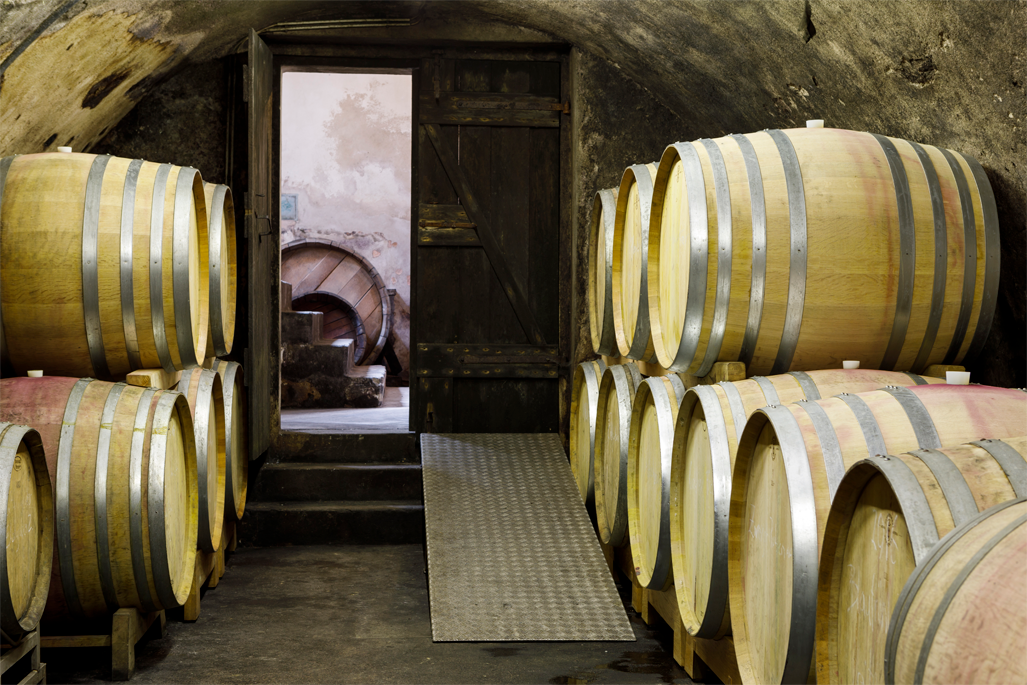 Weingut Lichtenberger González Bild 2