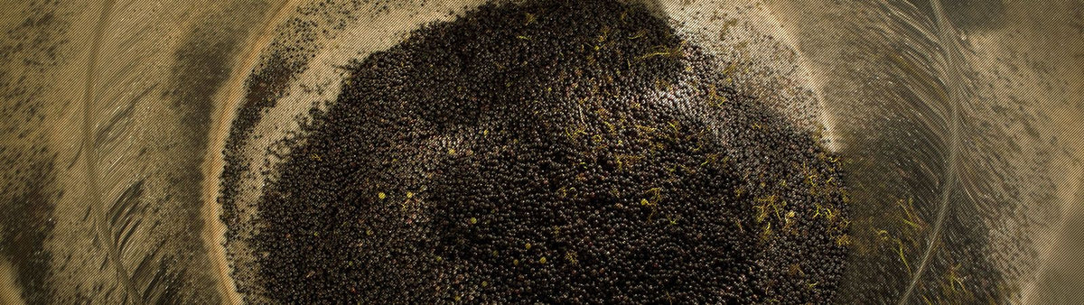 Header Domaine Lécheneaut