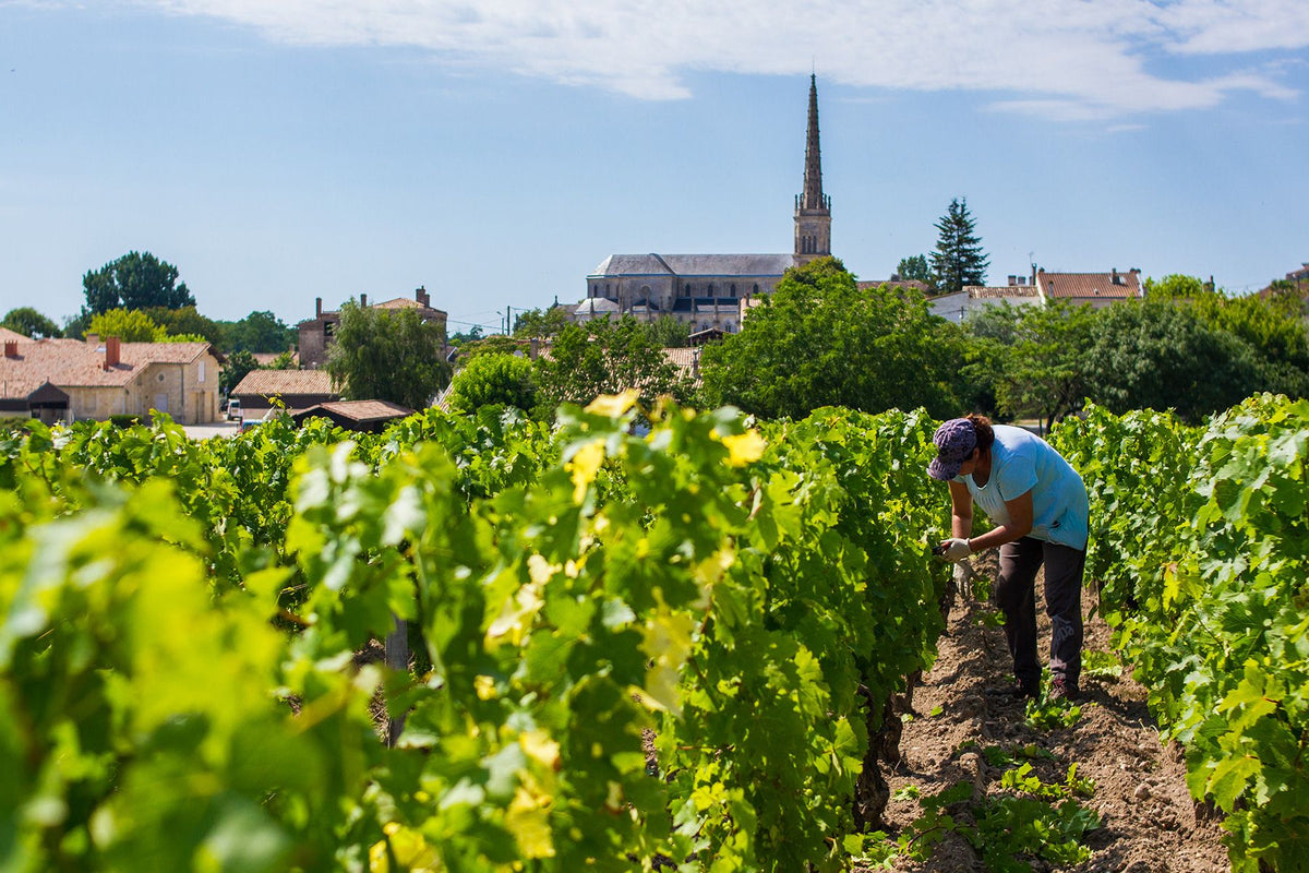 Header Château Léoville-las-Cases