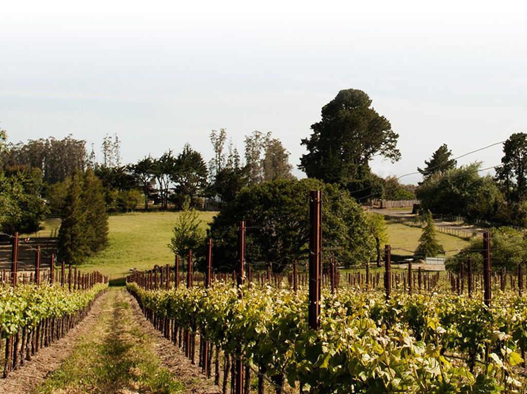 Header Domaine Larue
