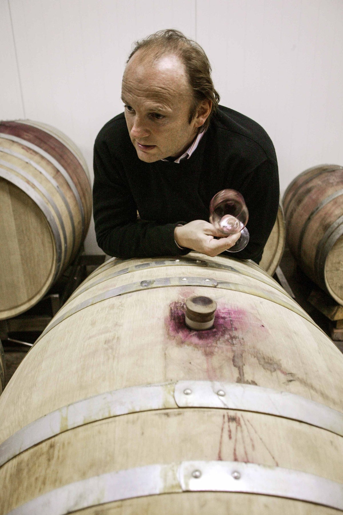 Weingut Moric Bild 2