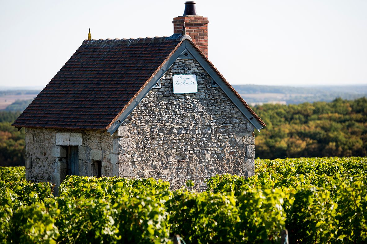Header Alphonse Mellot - Domaine de la Moussière