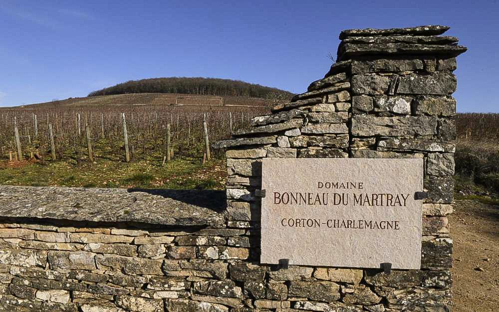 Domaine Bonneau du Martray Bild 2