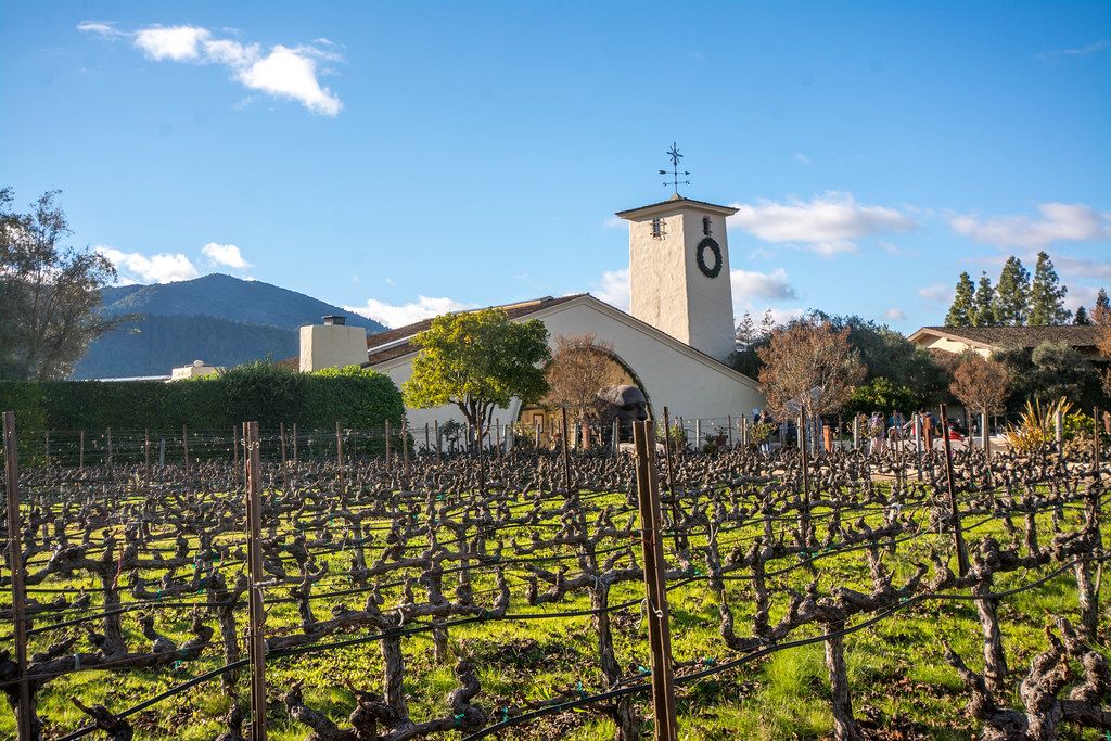 Robert Mondavi Winery Bild 2