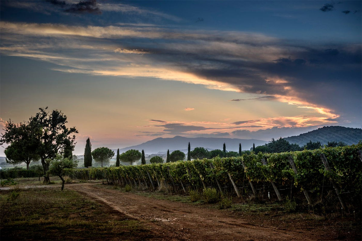 Monteverro Bild 2
