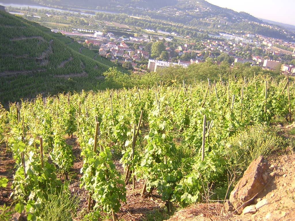 Header Domaine François Merlin