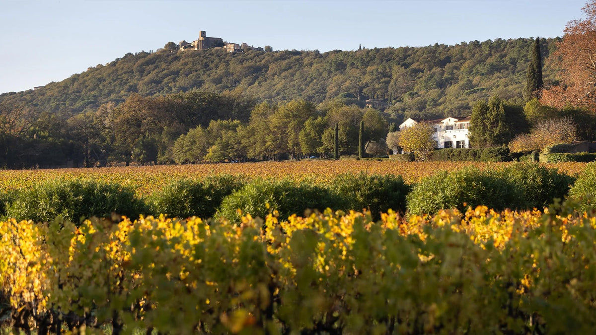 Header Château Minuty