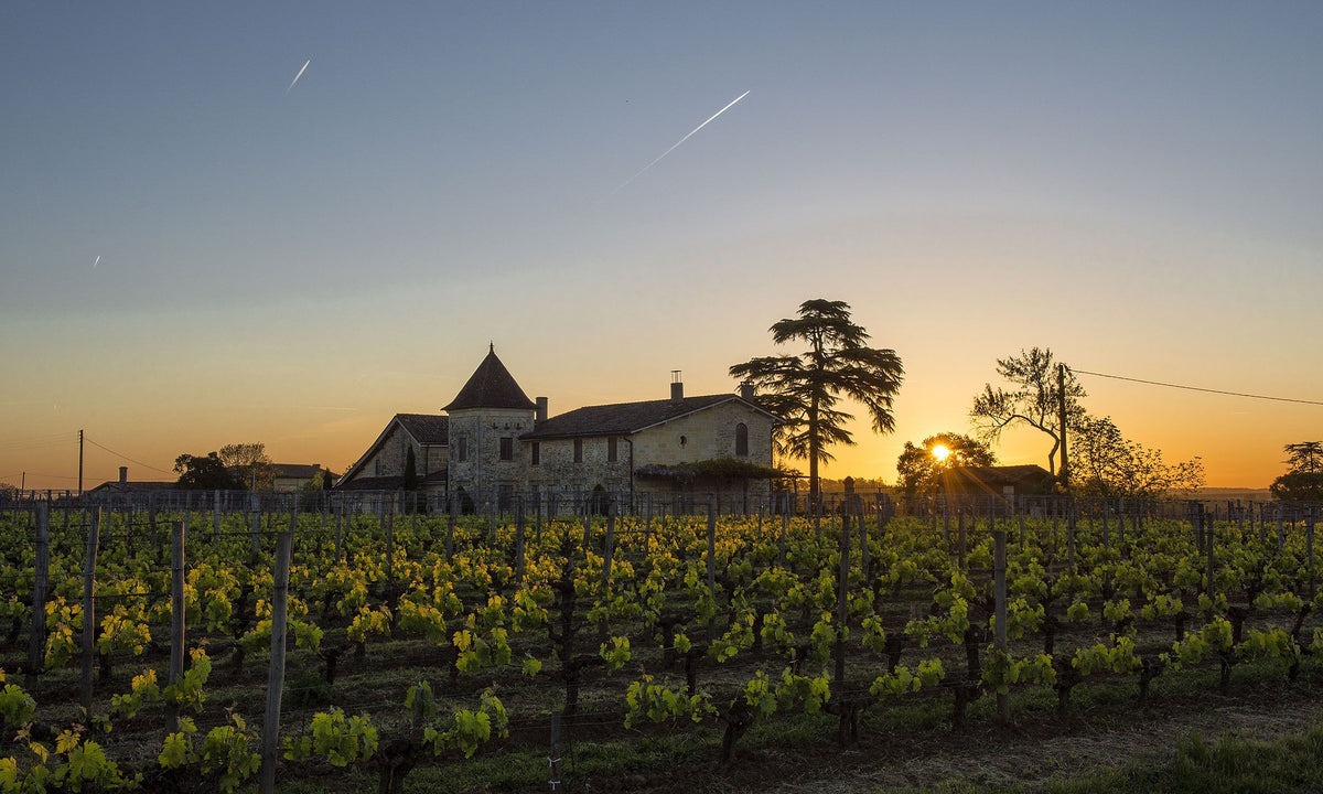 Header Château la Mondotte