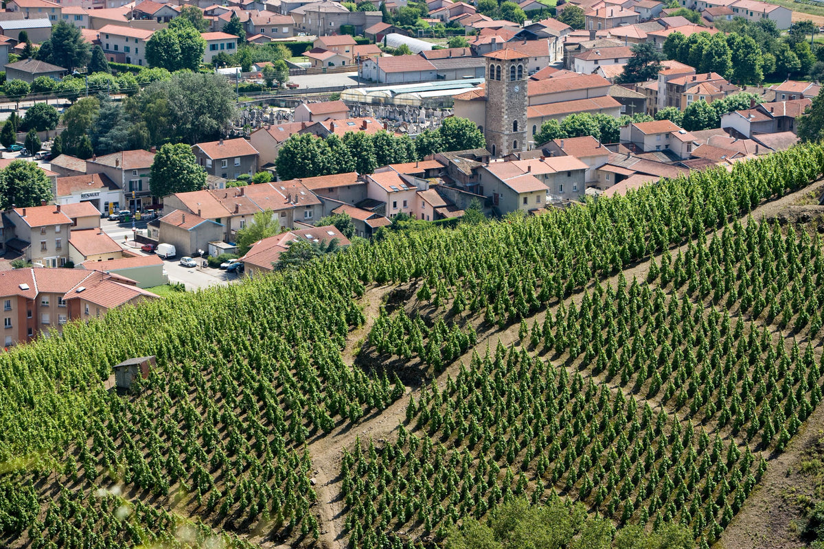 Header Domaine Stéphane Ogier