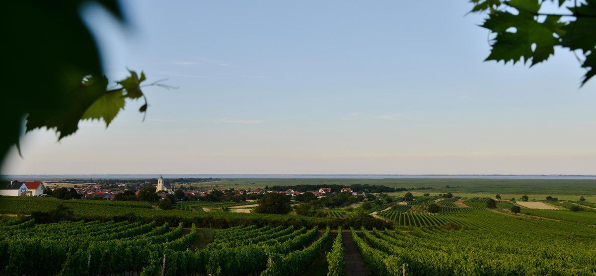 Header Weingut Georg Prieler