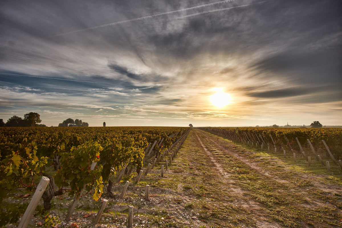 Header Château Pichon-Longueville Lalande