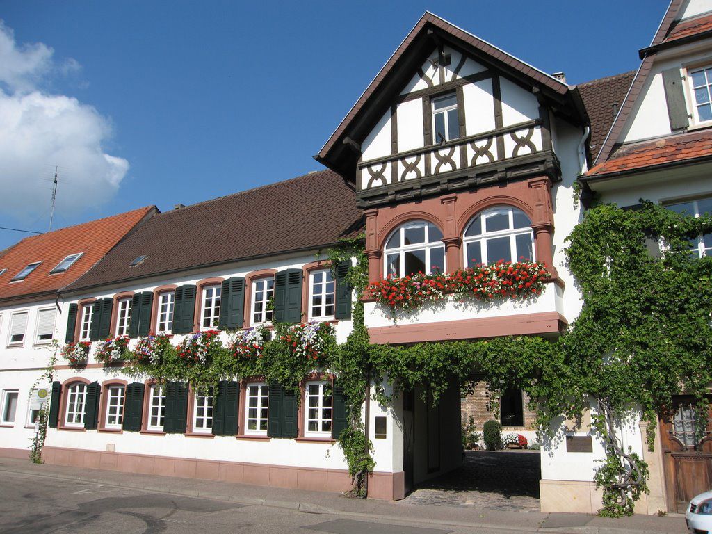 Weingut Ökonomierat Rebholz Bild 2