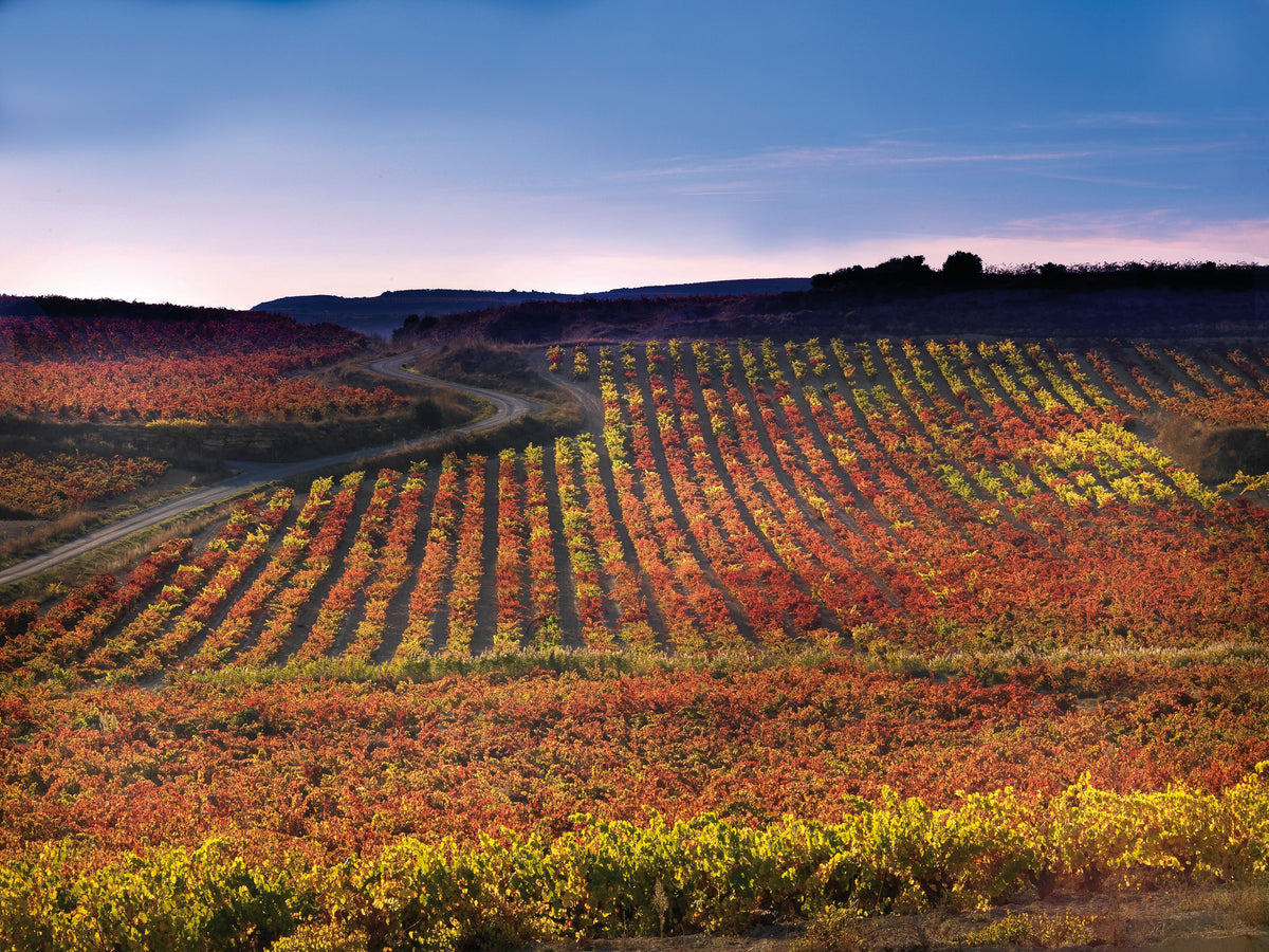 Header La Rioja Alta S.A.