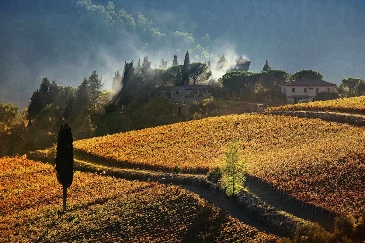 Header Castello dei Rampolla