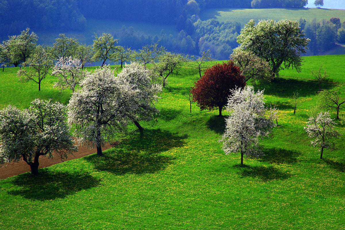 Header Obsthof Retter