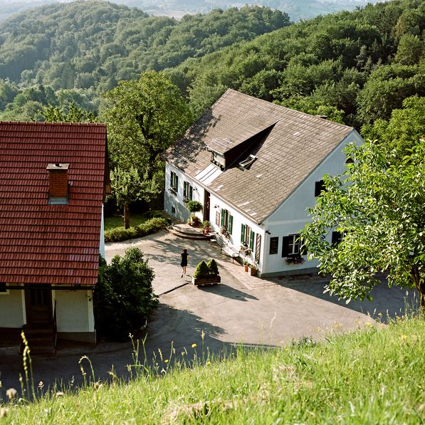 Weingut Hannes Sabathi Bild 2