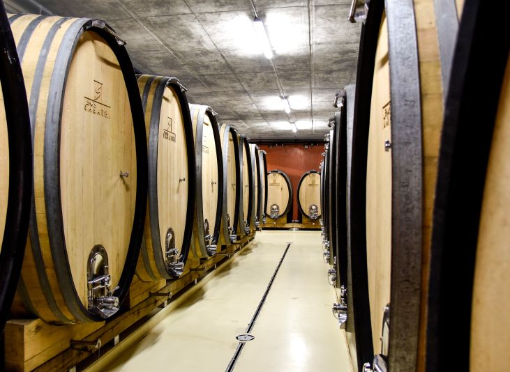 Weingut Erwin Sabathi Bild 2