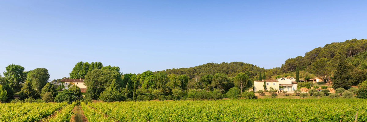 Header Domaine des Sarrins
