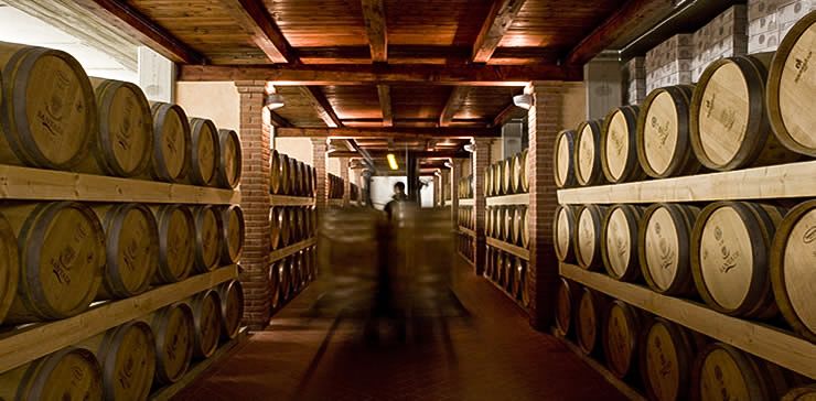 Weinkellerei Canitna Santadi Bild 2
