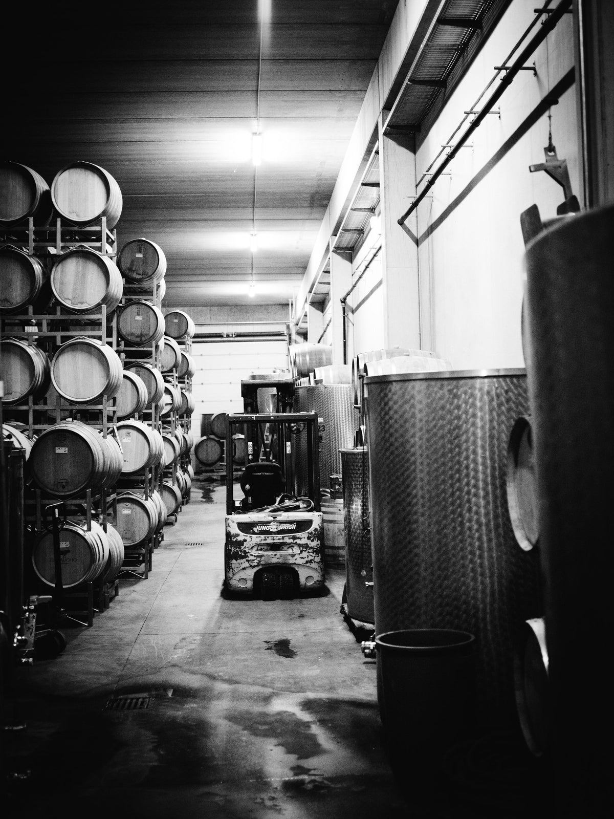 Weingut Schwarz Bild 2