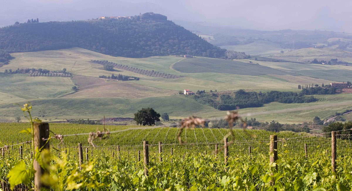 Header Weingut Siro Pacenti