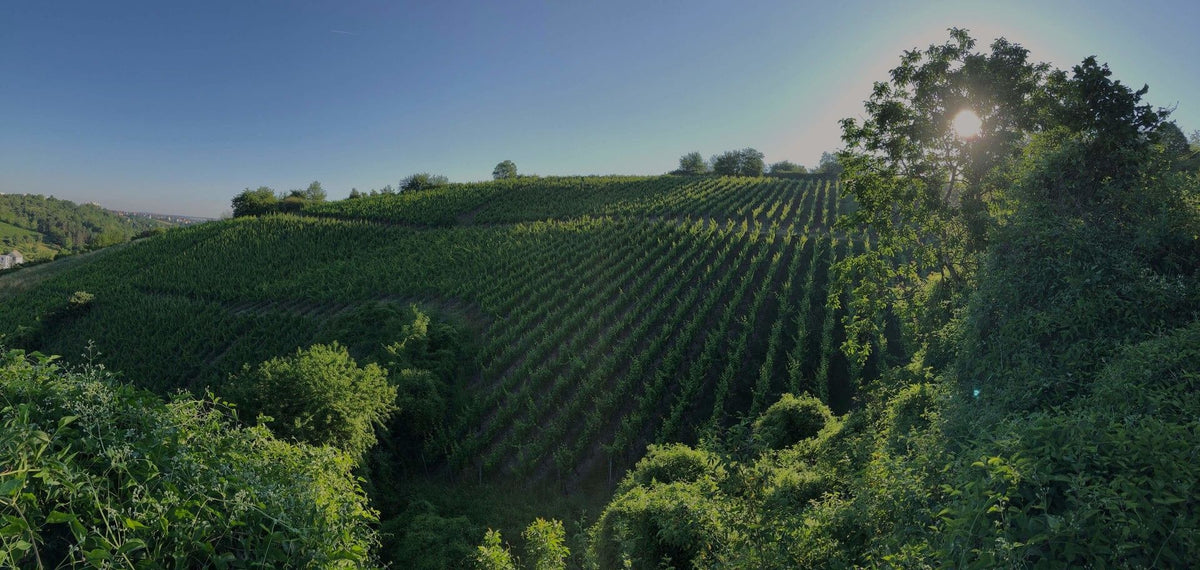 Header Winzerhof Stahl