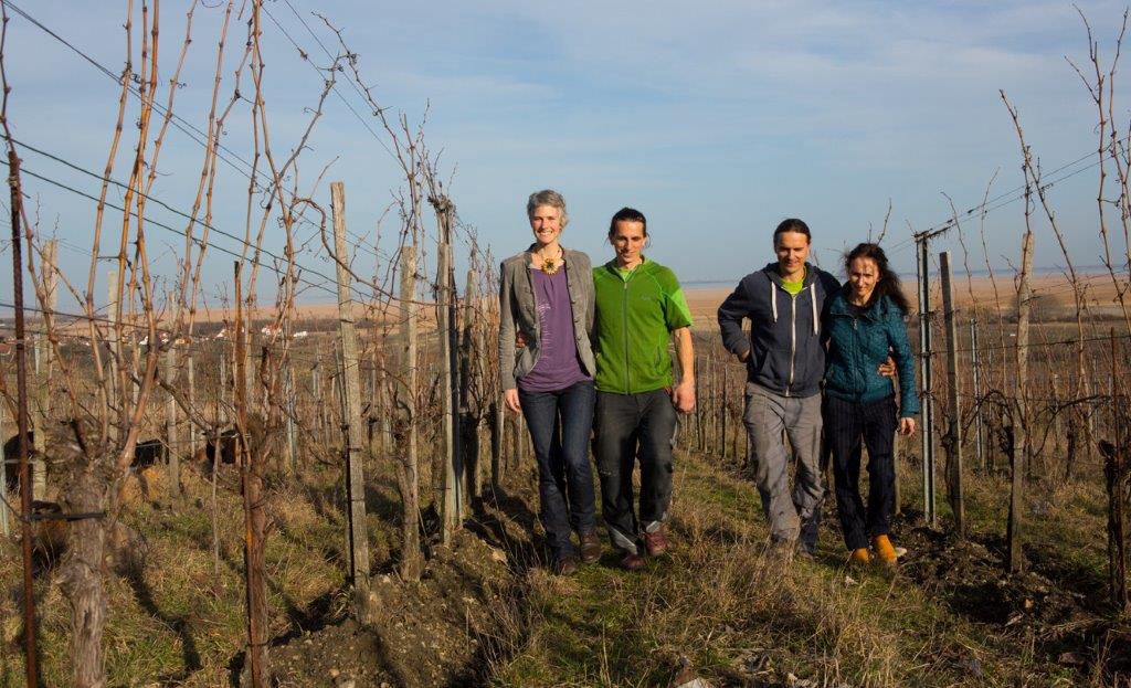 Header Weingut Ernst Triebaumer