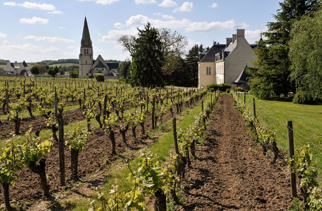 Header Château de Villeneuve