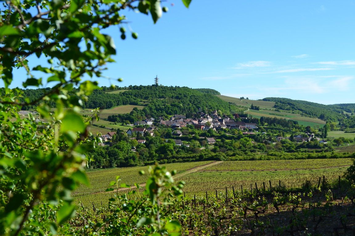 Domaine de Villaine Bild 2