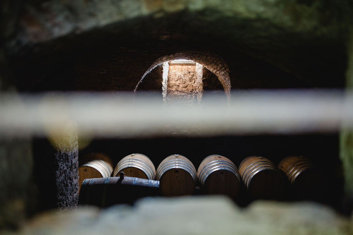 Weingut Warga-Hack Bild 2