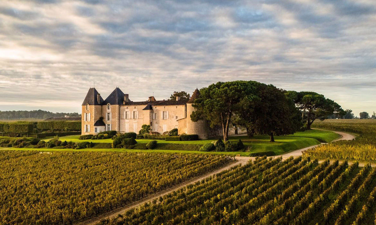 Header Château d`Yquem